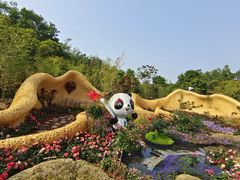-深圳仙湖植物园