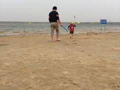 -碧海金沙