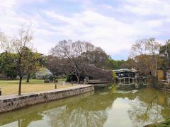 -江心屿景区