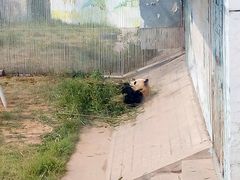 -太原动物园