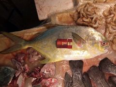 -阳江市第一市场