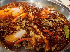 红锅锅底-蜀滋香鲜鱼美蛙火锅(339店)