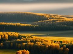 -塞罕坝国家级自然保护区