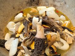 -七采菌园·石锅鱼野生菌火锅(环城北路店)