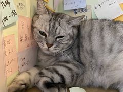 -H立方实景剧情密室(天河旗舰店)