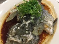 清蒸花斑鱼-岭南海晏楼(东晓南店)