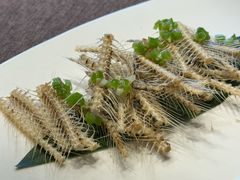 -巨鹿春晓(静安寺店)