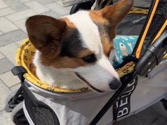 -比斯特苏州购物村精品奥特莱斯