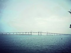 -金悦轩海鲜城(渔人码头店)