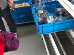 -来噻布布 Lets BUBU