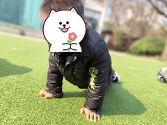 -玛利娅蒙特梭利双语幼儿园·托育(百家湖直营园)