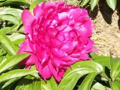 -长春公园(普阳街道)