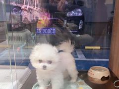 -FAELING PETS美天灵宠物(富力广场店)