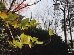 -杭州半山国家森林公园