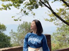 -铁山坪森林公园