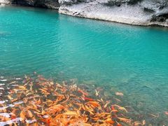 -楠溪江风景名胜区