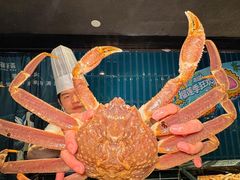 -雍容荟活波龙自助餐(IFS黑金店)