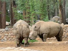 -北京野生动物园