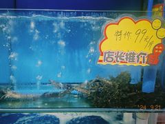 -蚝专家(北滘店)