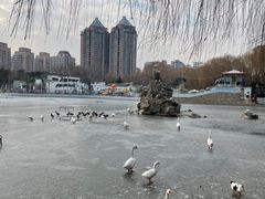 -团结湖公园
