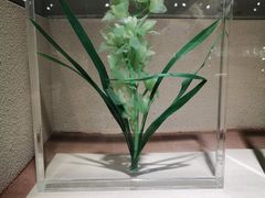 -陕西自然博物馆