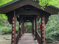 -杭州半山国家森林公园