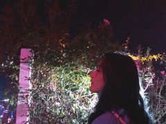 -武汉紫薇都市田园