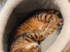 -小时光咖啡馆(北锣鼓巷店)