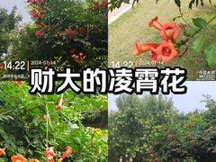 -河南财经政法大学(郑东校区)