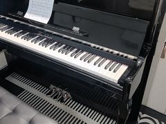 -大象音乐·吉他·架子鼓·声乐(双井店)