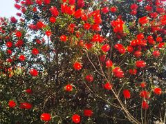 -桤木河湿地公园