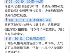 -日照海滨国家森林公园