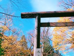 -北海道神宫