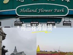 -荷兰花海
