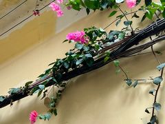 -厦门第七菜市场