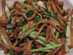 -同乐馆(阳光店)