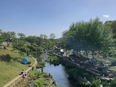 -羊山湖公园