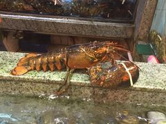 -快乐海鲜城(虎泉街店)
