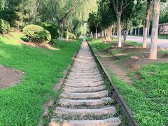 -永定河休闲森林公园