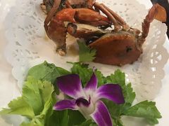 -友强·23年特色海鲜大排档(厦门店)