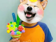 -学知乐教育·幼小衔接·小学科辅导(浦东外高桥森兰中心)