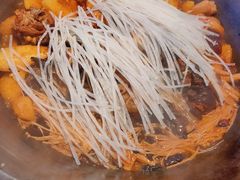 -挂雪铁锅炖大鹅