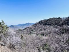 -大觉寺-停车场