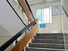 -食神又名厕所兔