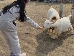 -天目湖涵田度假村