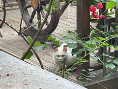 -一品渔乡·水库灶台鱼·乐享庭院