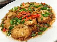 -金砂阿洲鱼册店