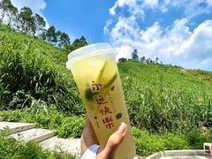 -黄埔油麻山森林公园