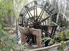 -大屏嶂森林公园