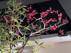 -椒王火锅(厚街万达店)